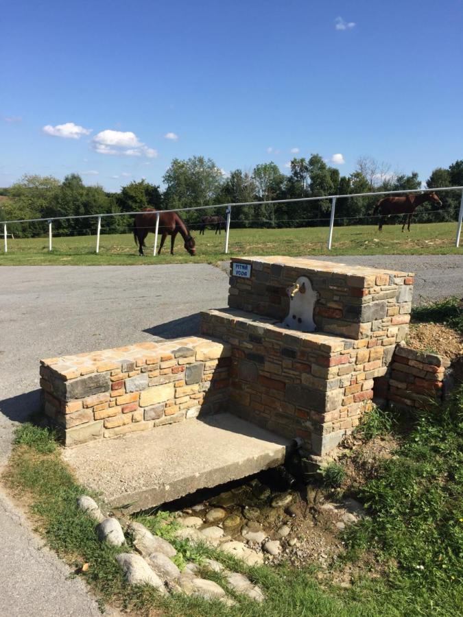 Willa Chata Koniaren Pavlovce Zewnętrze zdjęcie